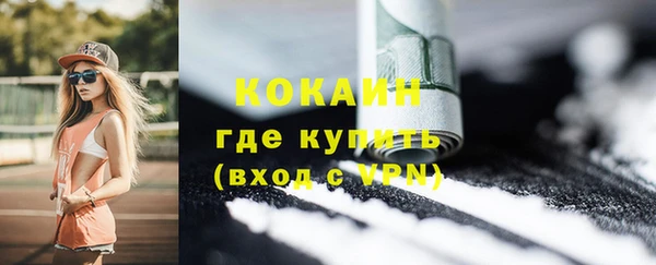 шишки Гусев