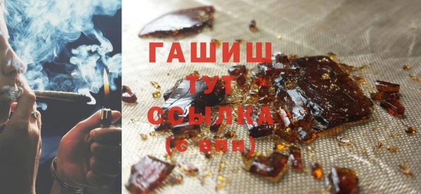 шишки Гусев