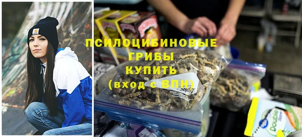 спиды Гусиноозёрск