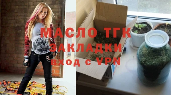 шишки Гусев