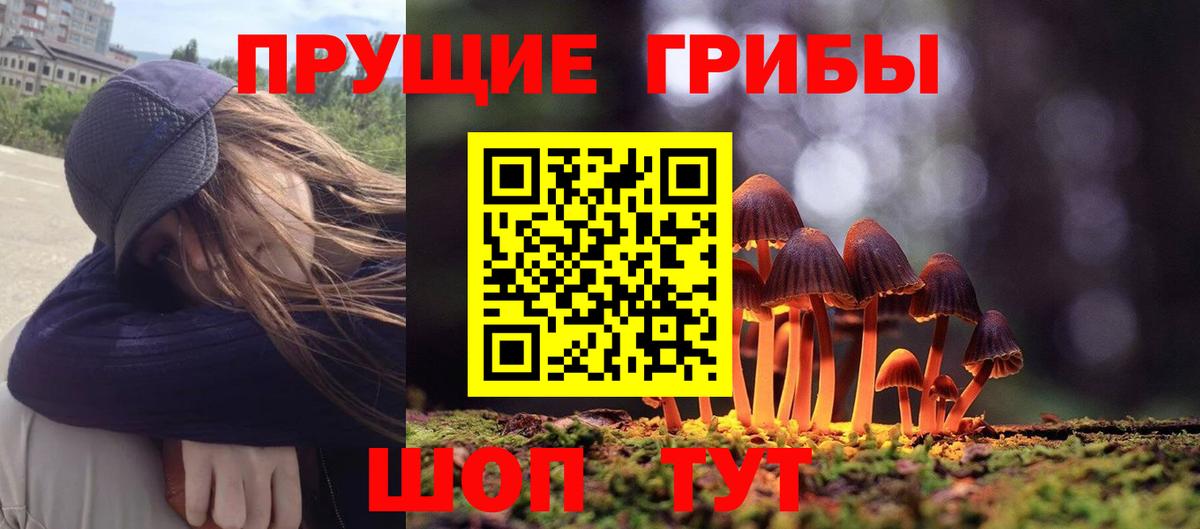 Галлюциногенные грибы мухоморы Елизово